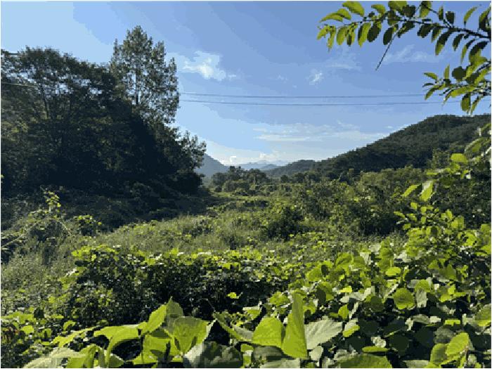 전라북도 순창군 유등면 건곡리 1525 답 경매 사진 1
