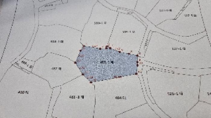 전북특별자치도 남원시 송동면 송내리 955-6 답 경매 사진 18
