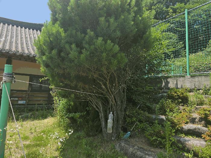 경상남도 하동군 청암면 묵계리 1095 근린시설 경매 사진 5