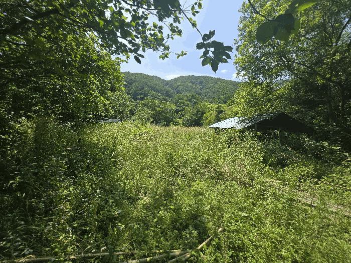 경상남도 하동군 청암면 묵계리 1095 근린시설 경매 사진 6