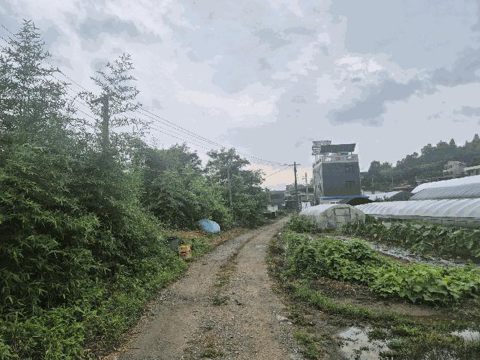 경상남도 진주시 집현면 신당리 179-2 전 경매 사진 20
