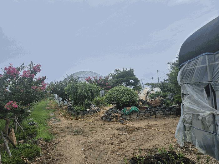 경상남도 진주시 집현면 신당리 179-2 전 경매 사진 3