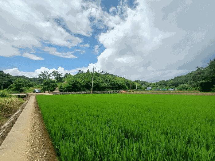 경상남도 사천시 서포면 외구리 산110 임야 경매 사진 10