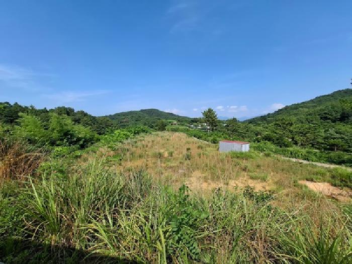 경상남도 사천시 서포면 외구리 산110 임야 경매 사진 11