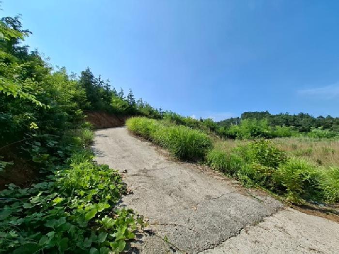 경상남도 사천시 서포면 외구리 산110 임야 경매 사진 19