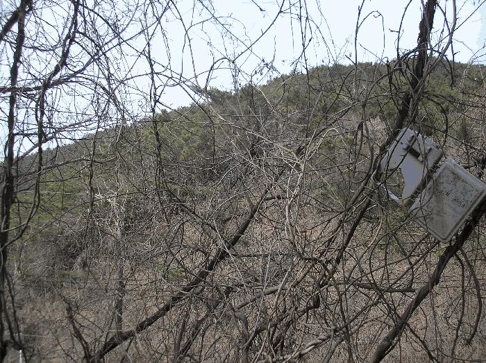 전라남도 순천시 왕지동 산61 임야 경매 사진 1