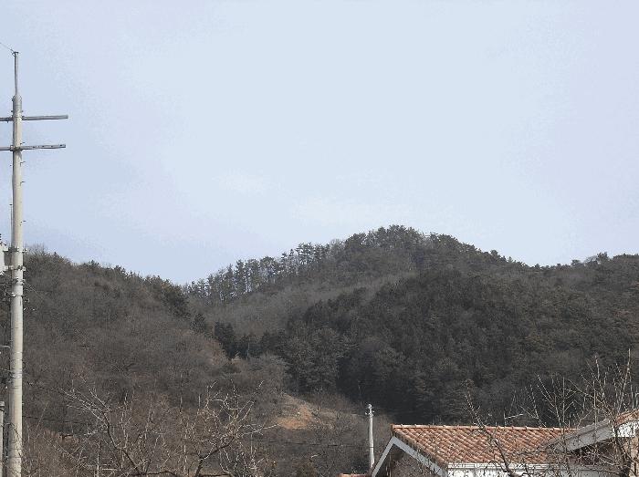 전라남도 순천시 왕지동 산61 임야 경매 사진 10