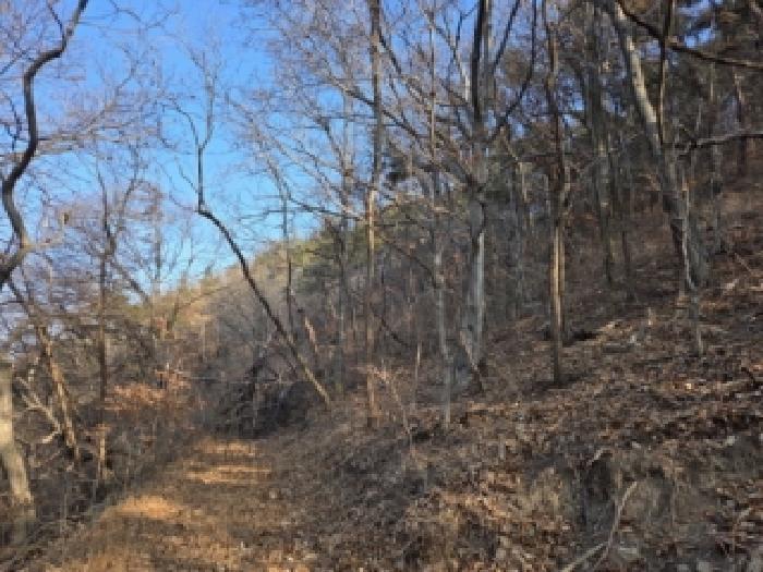 전라남도 순천시 왕지동 산61 임야 경매 사진 15