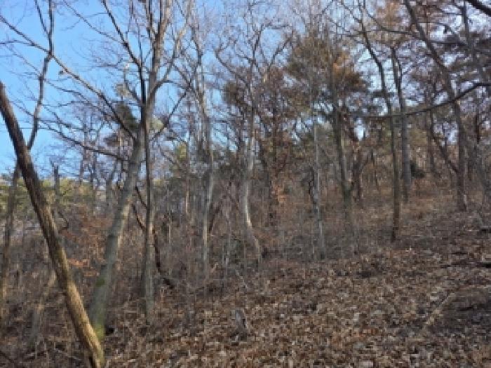 전라남도 순천시 왕지동 산61 임야 경매 사진 16