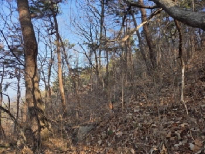 전라남도 순천시 왕지동 산61 임야 경매 사진 18