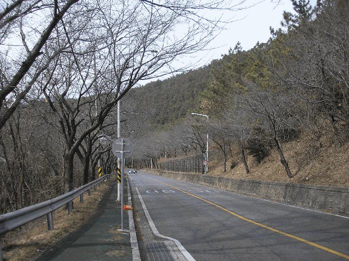 전라남도 순천시 왕지동 산61 임야 경매 사진 2