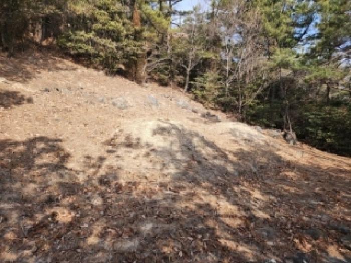 전라남도 순천시 왕지동 산61 임야 경매 사진 20