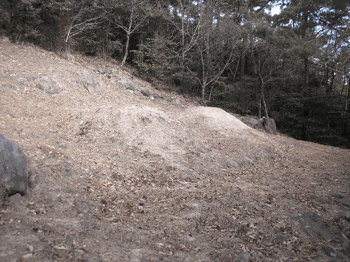 전라남도 순천시 왕지동 산61 임야 경매 사진 7
