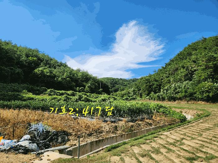경상남도 진주시 수곡면 대천리 53-1 답 경매 사진 10