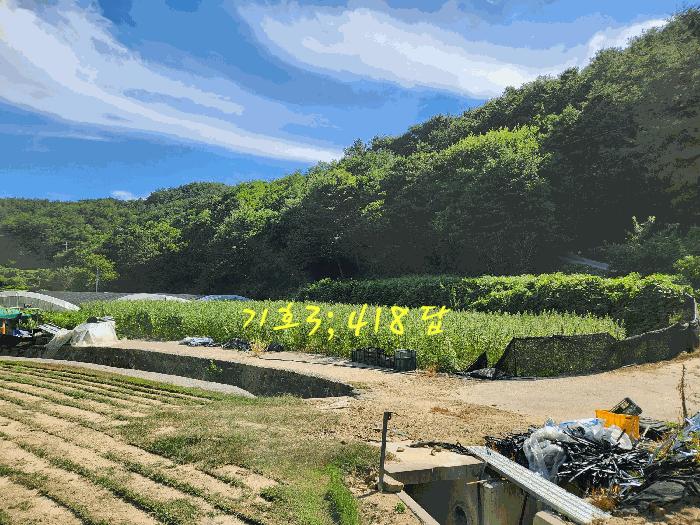 경상남도 진주시 수곡면 효자리 417 답 경매 사진 11