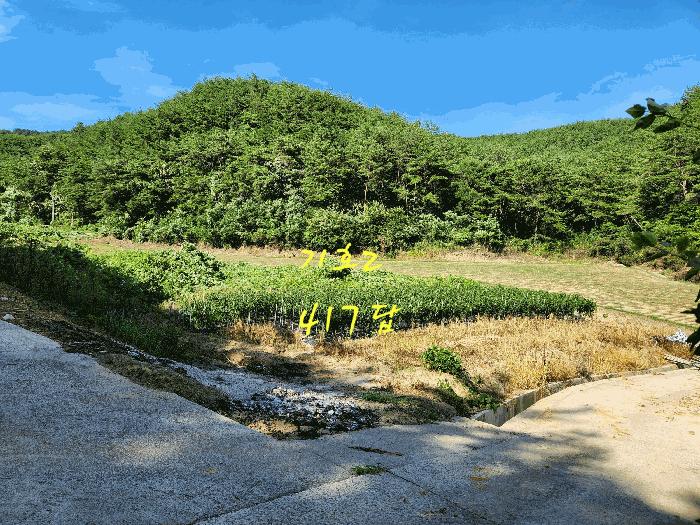 경상남도 진주시 수곡면 효자리 417 답 경매 사진 4