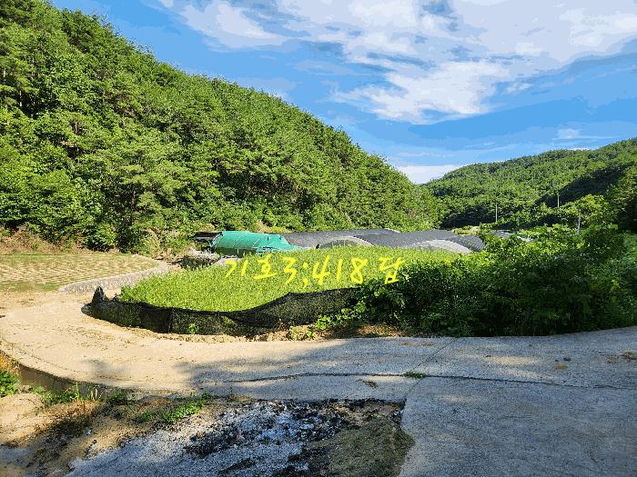 경상남도 진주시 수곡면 효자리 417 답 경매 사진 5