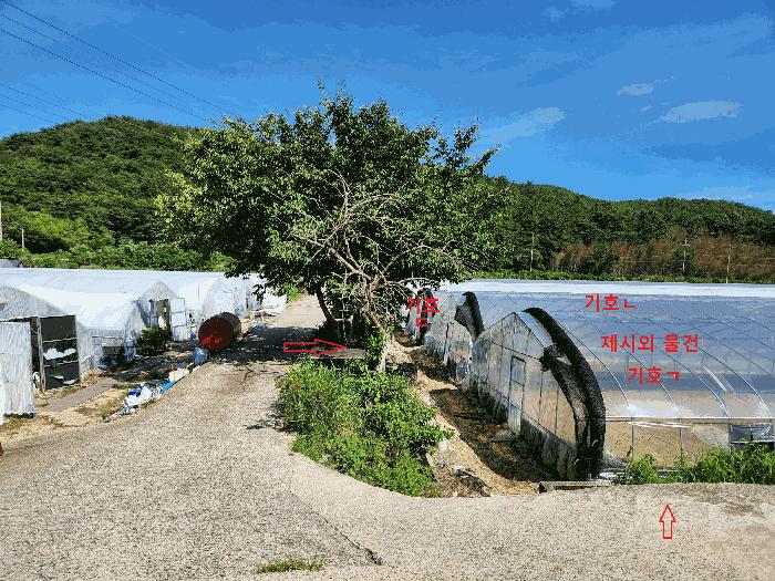 경상남도 진주시 수곡면 효자리 417 답 경매 사진 9