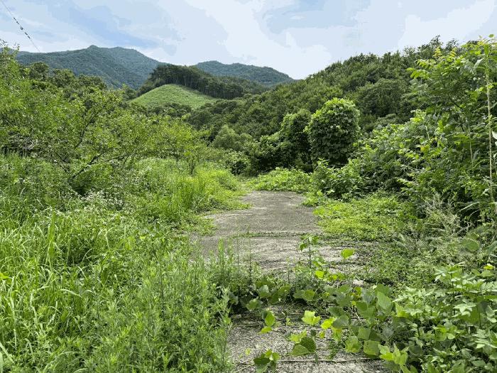 경상남도 하동군 화개면 탑리 150-1 답 경매 사진 3