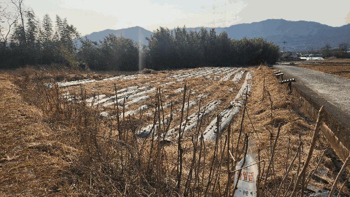 전라남도 구례군 광의면 대전리 472 전 경매 사진 1