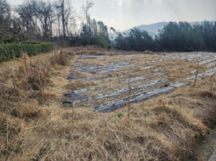 전라남도 구례군 광의면 대전리 472 전 경매 사진 9