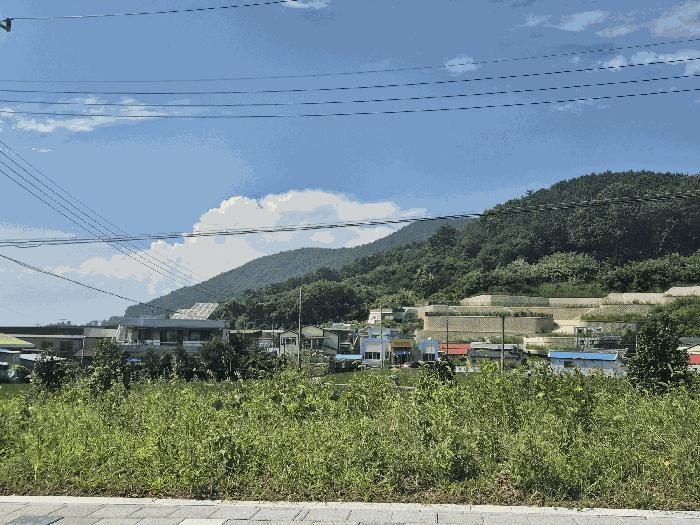 경상남도 사천시 실안동 401 전 경매 사진 2
