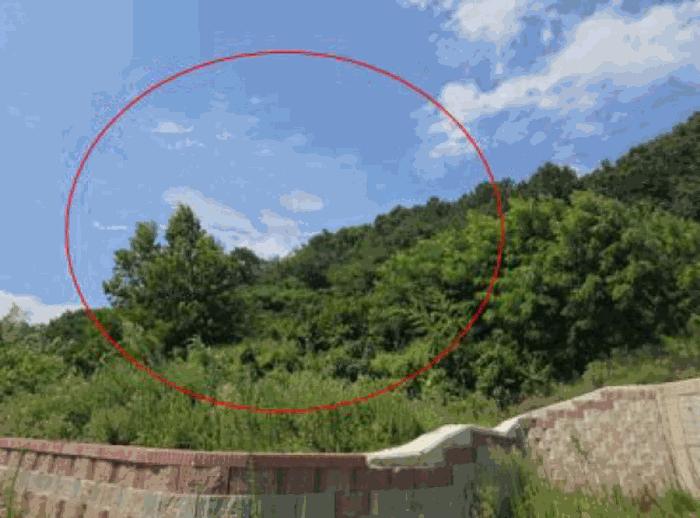 경상남도 사천시 실안동 401 전 경매 사진 4