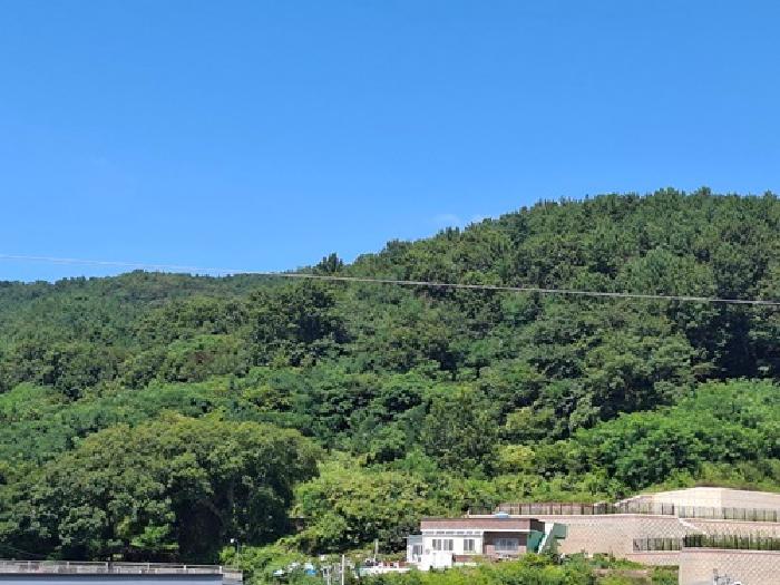 경상남도 사천시 실안동 401 전 경매 사진 5