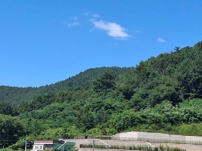 경상남도 사천시 실안동 401 전 경매 사진 6