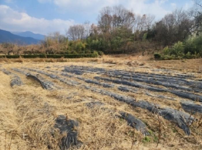 전라남도 구례군 광의면 대전리 475 전 경매 사진 7