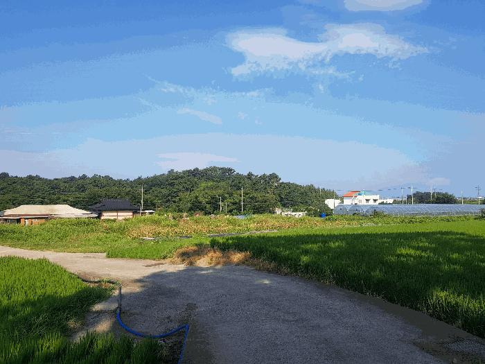 경상남도 사천시 신벽동 197-1 답 경매 사진 4