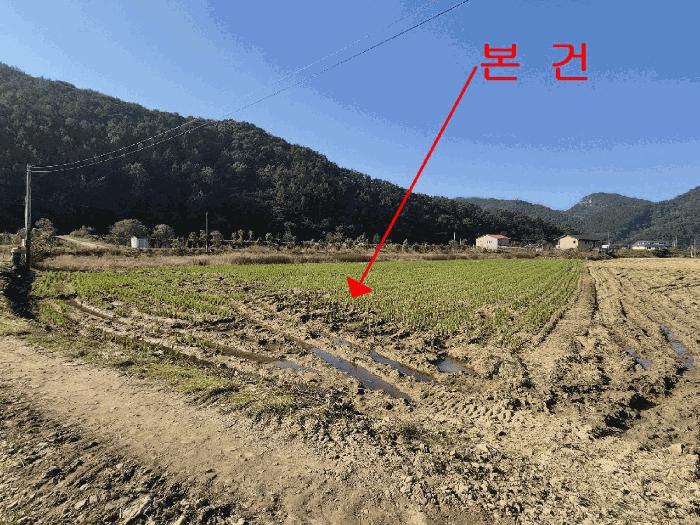 전북특별자치도 완주군 경천면 경천리 491 전 경매 사진 4