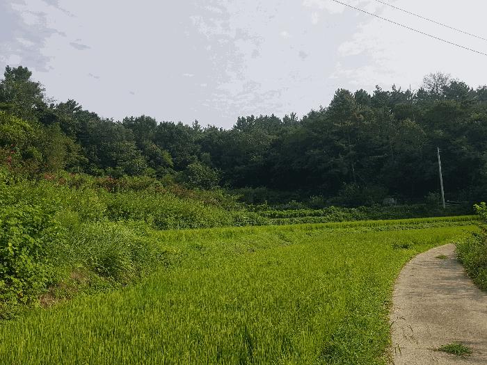 경상남도 진주시 답