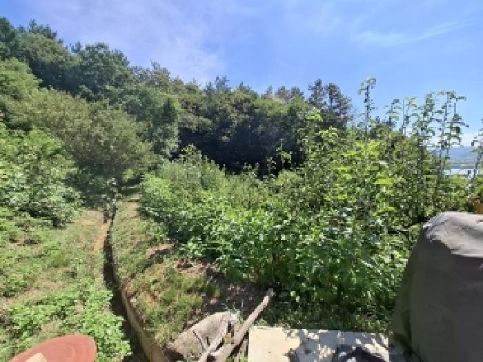 경상남도 진주시 정촌면 예상리 144 답 경매 사진 12
