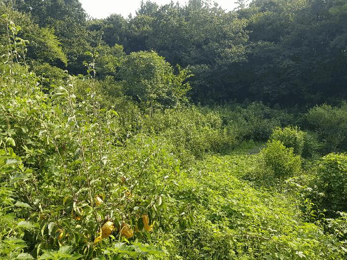 경상남도 진주시 정촌면 예상리 144 답 경매 사진 2