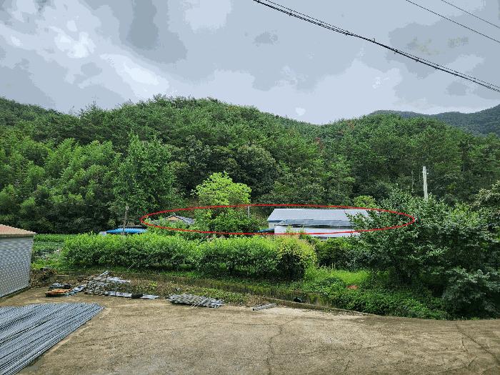 경상남도 진주시 이반성면 하곡리 487 주택 경매 사진 1