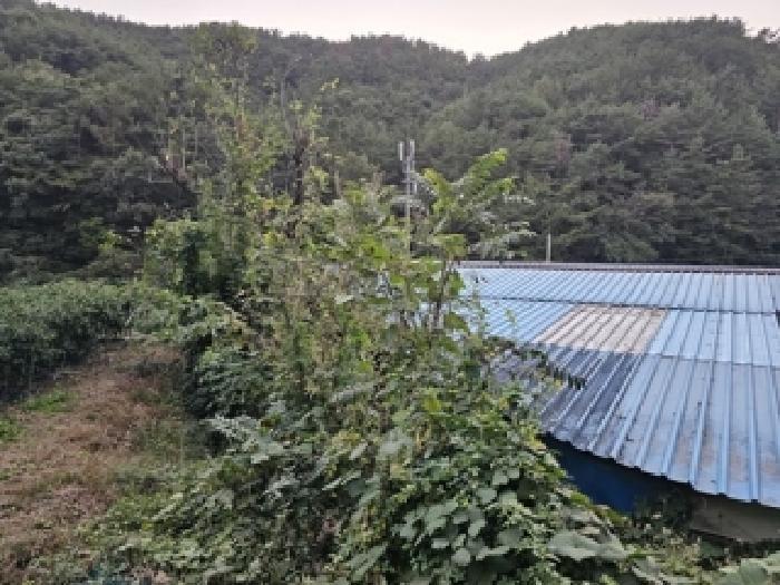 경상남도 진주시 이반성면 하곡리 487 주택 경매 사진 15