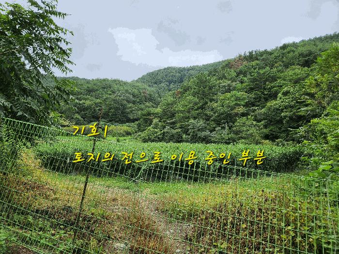 경상남도 진주시 이반성면 하곡리 487 주택 경매 사진 6
