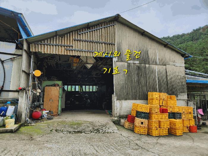 경상남도 진주시 이반성면 하곡리 487 주택 경매 사진 8