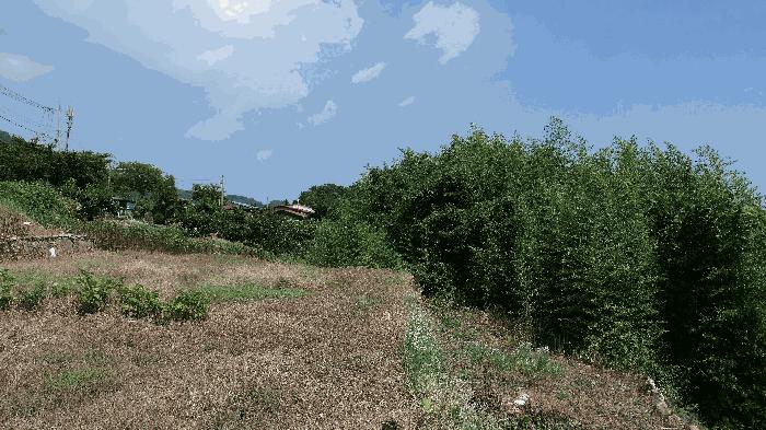 경상남도 남해군 미조면 송정리 486-1 전 경매 사진 5