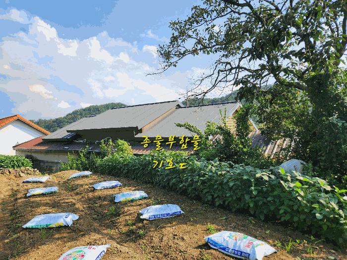경상남도 사천시 곤양면 맥사리 209-5 주택 경매 사진 9
