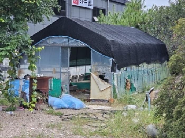 경상남도 산청군 시천면 사리 312-2 주택 경매 사진 12