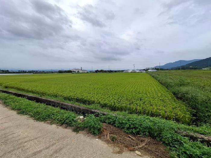 경상남도 사천시 용현면 덕곡리 250-3 답 경매 사진 5