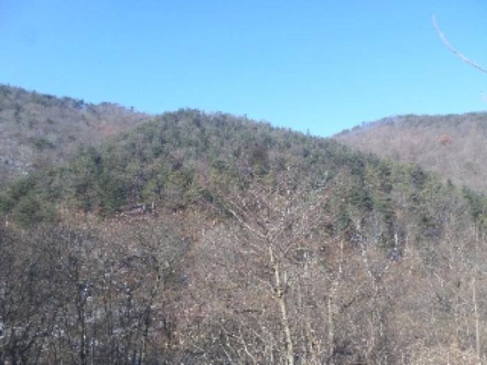전북특별자치도 임실군 성수면 오봉리 산82 임야 경매 사진 3