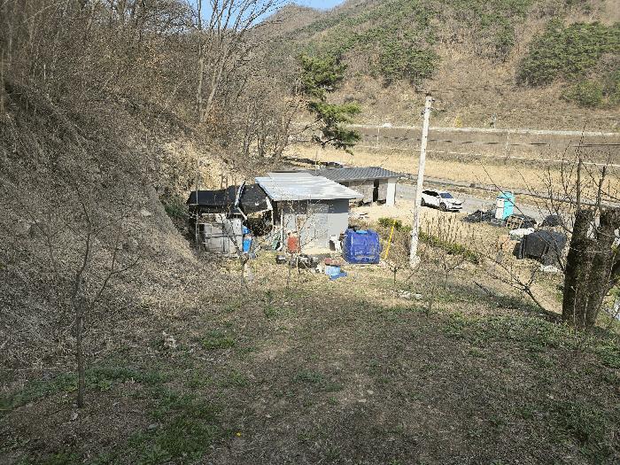 전북특별자치도 완주군 구이면 계곡리 산127 임야 경매 사진 5