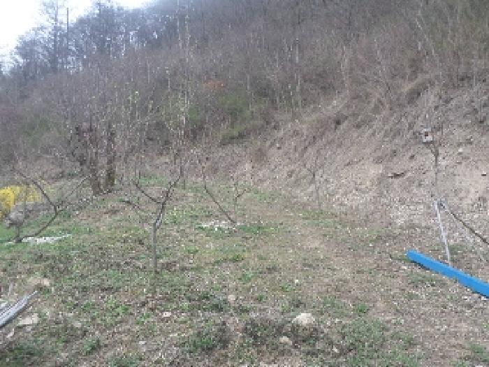 전북특별자치도 완주군 구이면 계곡리 산127 임야 경매 사진 7