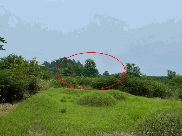 전북특별자치도 김제시 봉남면 용신리 14 전 경매 사진 1