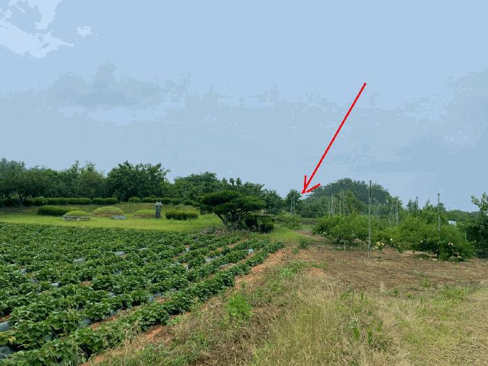 전북특별자치도 김제시 봉남면 용신리 14 전 경매 사진 2
