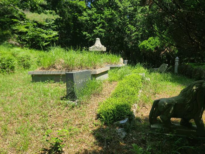 경상남도 거제시 고현동 537 전 경매 사진 4