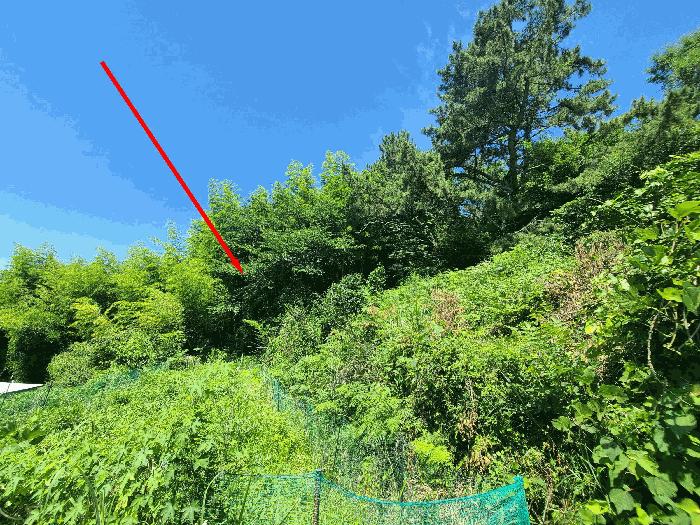 경상남도 거제시 장목면 장목리 366-20 전 경매 사진 2